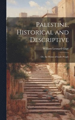 bokomslag Palestine, Historical and Descriptive; Or, the Home of God's People