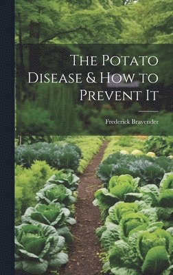 bokomslag Potato Disease & How to Prevent It