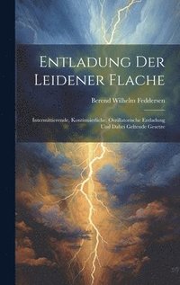 bokomslag Entladung Der Leidener Flache