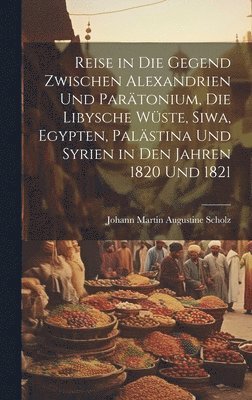 bokomslag Reise in die Gegend zwischen Alexandrien und Partonium, die libysche Wste, Siwa, Egypten, Palstina und Syrien in den Jahren 1820 und 1821