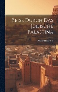 bokomslag Reise Durch Das Jüdische Palästina