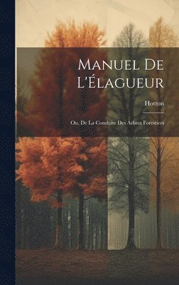 bokomslag Manuel De L'lagueur