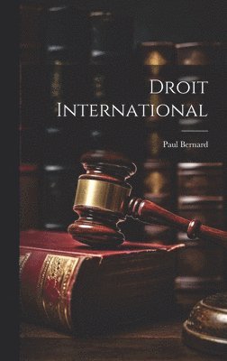 bokomslag Droit International