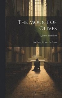 bokomslag The Mount of Olives