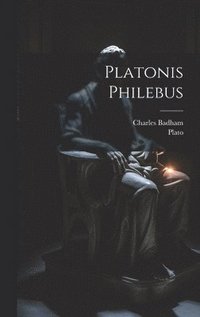 bokomslag Platonis Philebus