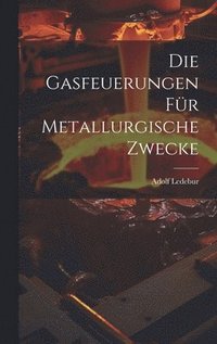 bokomslag Die Gasfeuerungen Fr Metallurgische Zwecke