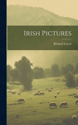 bokomslag Irish Pictures