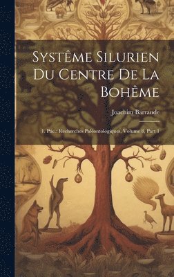 bokomslag Systme Silurien Du Centre De La Bohme