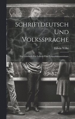 bokomslag Schriftdeutsch Und Volkssprache