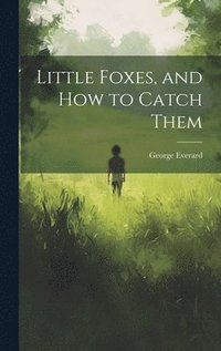 bokomslag Little Foxes, and How to Catch Them