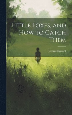 Little Foxes, and How to Catch Them 1