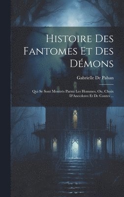 bokomslag Histoire Des Fantomes Et Des Dmons