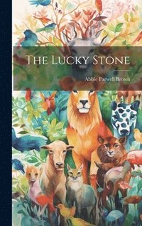 bokomslag The Lucky Stone