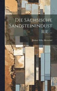 bokomslag Sächsische Sandsteinindustrie ...