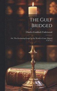 bokomslag The Gulf Bridged