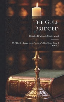 bokomslag Gulf Bridged