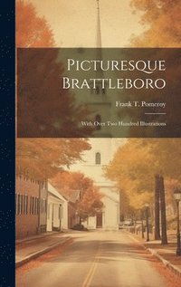 bokomslag Picturesque Brattleboro