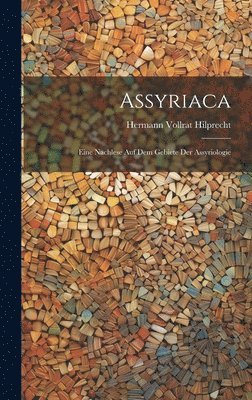 bokomslag Assyriaca