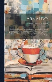 bokomslag Arnaldo