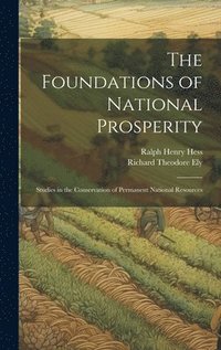 bokomslag The Foundations of National Prosperity