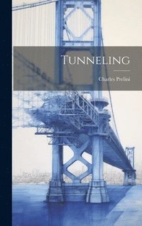 bokomslag Tunneling