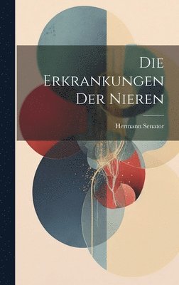 bokomslag Die Erkrankungen Der Nieren