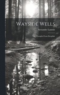 bokomslag Wayside Wells; Or, Thoughts From Deepdale