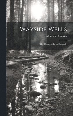 bokomslag Wayside Wells; Or, Thoughts From Deepdale