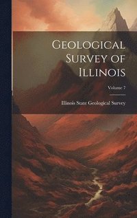 bokomslag Geological Survey of Illinois; Volume 7