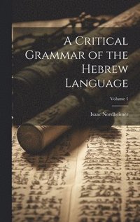 bokomslag A Critical Grammar of the Hebrew Language; Volume 1