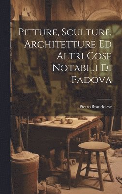 bokomslag Pitture, Sculture, Architetture Ed Altri Cose Notabili Di Padova