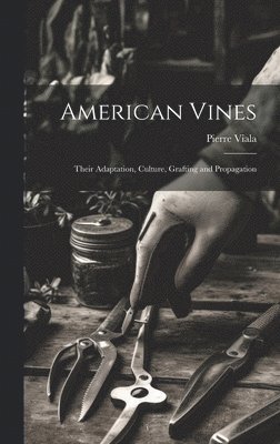 bokomslag American Vines