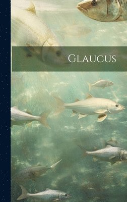 bokomslag Glaucus