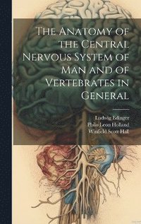 bokomslag The Anatomy of the Central Nervous System of Man and of Vertebrates in General