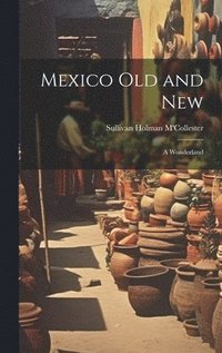 bokomslag Mexico Old and New