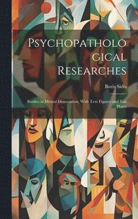 bokomslag Psychopathological Researches
