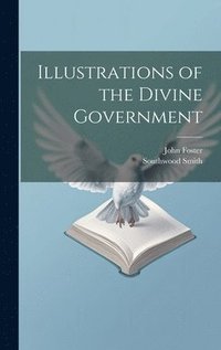 bokomslag Illustrations of the Divine Government