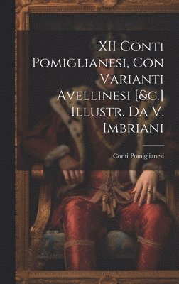 bokomslag XII Conti Pomiglianesi, Con Varianti Avellinesi [&c.] Illustr. Da V. Imbriani