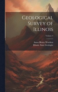 bokomslag Geological Survey of Illinois; Volume 4