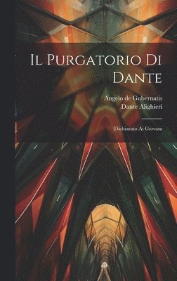 bokomslag Il Purgatorio Di Dante