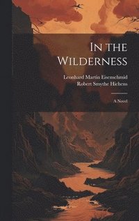 bokomslag In the Wilderness