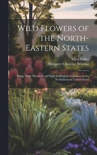 bokomslag Wild Flowers of the North-eastern States; Being Three Hundred and Eight Individuals Common to the North-eastern United States