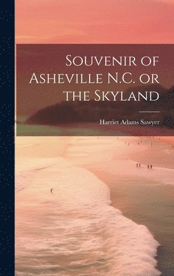 bokomslag Souvenir of Asheville N.C. or the Skyland