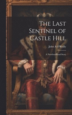 The Last Sentinel of Castle Hill 1