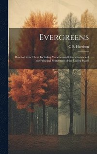 bokomslag Evergreens