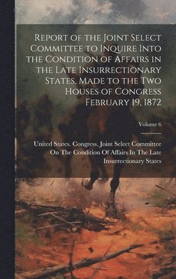 bokomslag Report of the Joint Select Committee to Inquire Into the Condition of Affairs in the Late Insurrectionary States, Made to the two Houses of Congress February 19, 1872; Volume 6