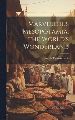 Marvellous Mesopotamia, the World's Wonderland 1