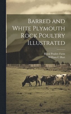 Barred and White Plymouth Rock Poultry Illustrated 1