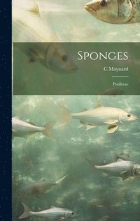 bokomslag Sponges; Poriferae