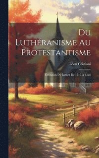 bokomslag Du Luthranisme au protestantisme